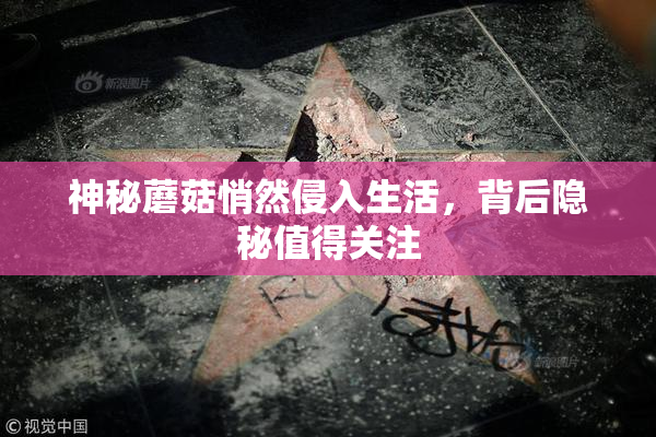 神秘蘑菇悄然侵入生活，背后隐秘值得关注