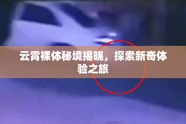 云霄裸体秘境揭晓，探索新奇体验之旅
