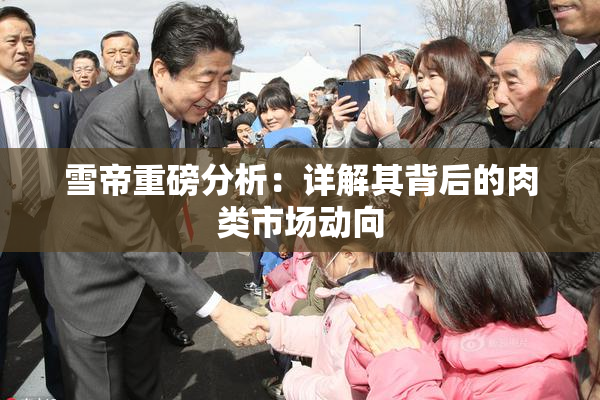 雪帝重磅分析：详解其背后的肉类市场动向
