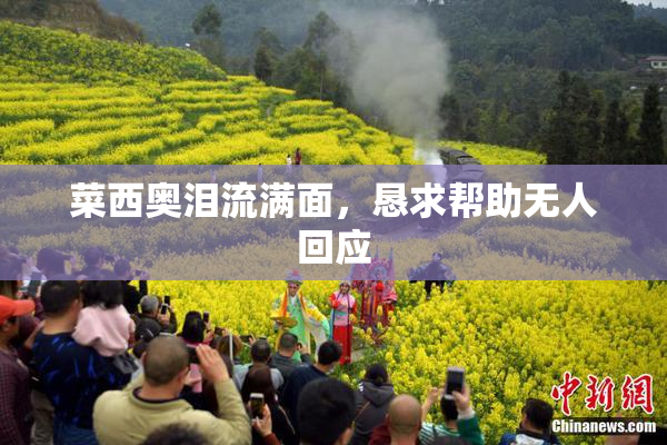 菜西奥泪流满面，恳求帮助无人回应