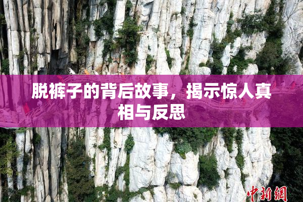 脱裤子的背后故事，揭示惊人真相与反思