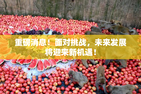 重磅消息！面对挑战，未来发展将迎来新机遇！