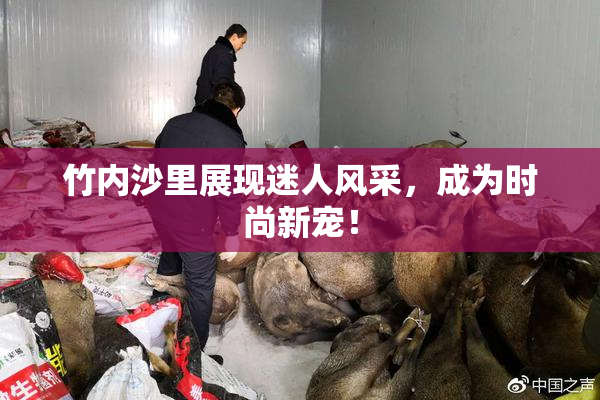 竹内沙里展现迷人风采，成为时尚新宠！