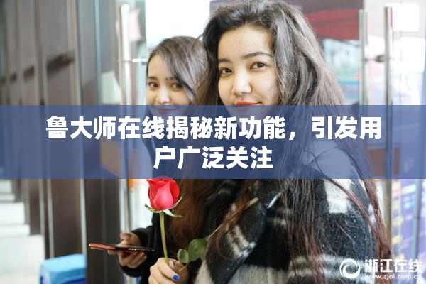 鲁大师在线揭秘新功能，引发用户广泛关注