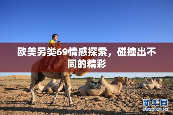 欧美另类69情感探索，碰撞出不同的精彩