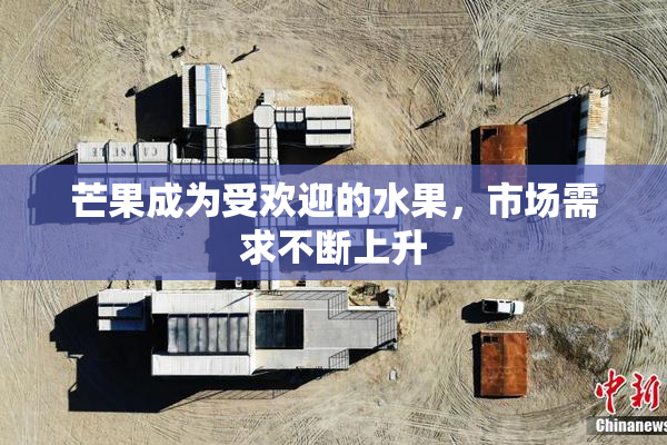 芒果成为受欢迎的水果，市场需求不断上升