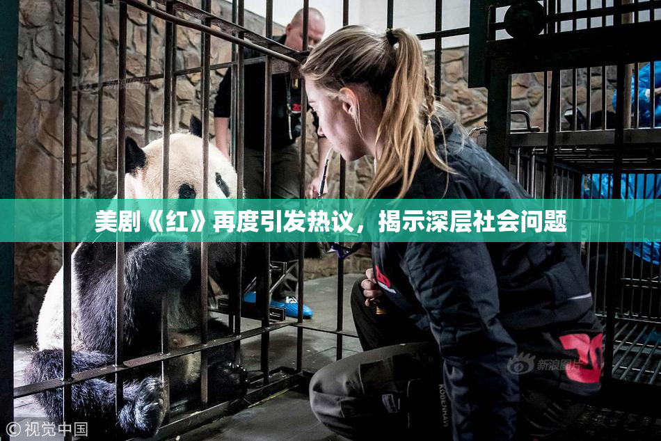 美剧《红》再度引发热议，揭示深层社会问题