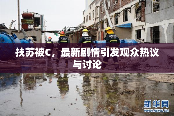 扶苏被C，最新剧情引发观众热议与讨论