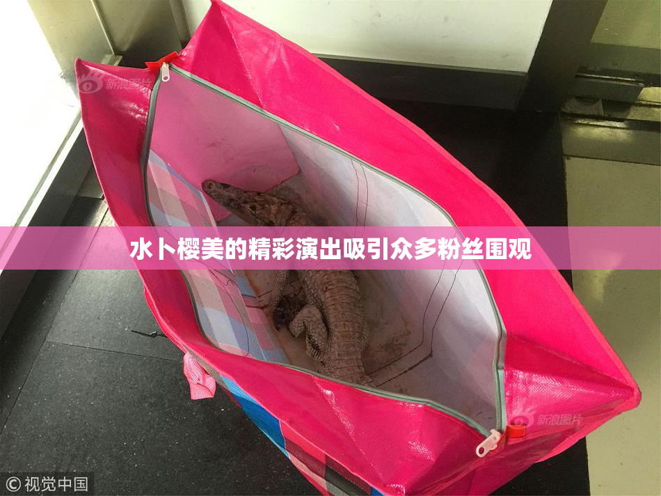 水卜樱美的精彩演出吸引众多粉丝围观