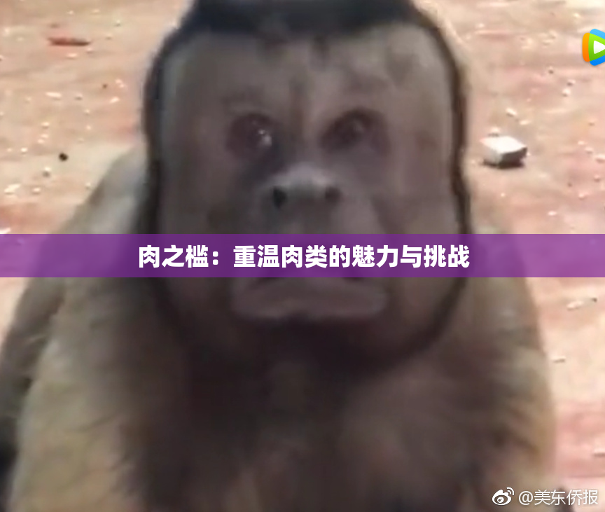 肉之槛：重温肉类的魅力与挑战