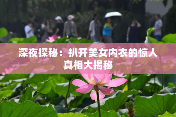 深夜探秘：扒开美女内衣的惊人真相大揭秘