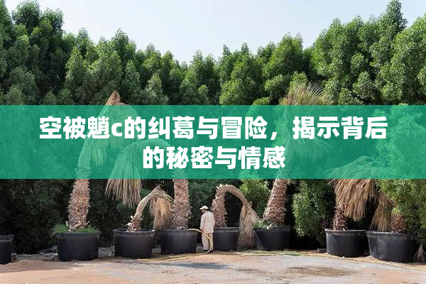 空被魈c的纠葛与冒险，揭示背后的秘密与情感