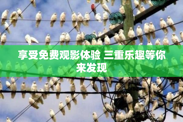 享受免费观影体验 三重乐趣等你来发现