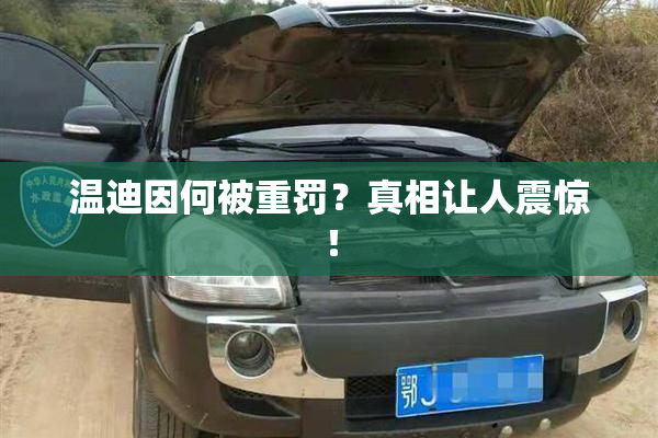 温迪因何被重罚？真相让人震惊！