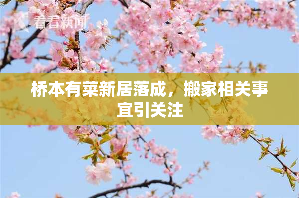 桥本有菜新居落成，搬家相关事宜引关注