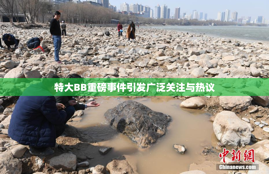 特大BB重磅事件引发广泛关注与热议