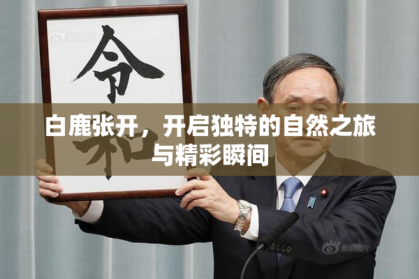 白鹿张开，开启独特的自然之旅与精彩瞬间
