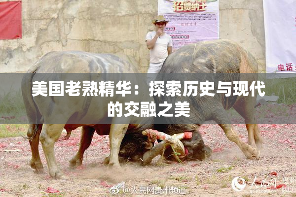 美国老熟精华：探索历史与现代的交融之美