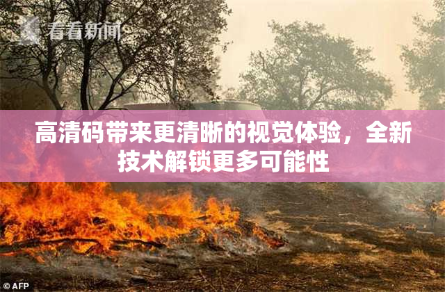 高清码带来更清晰的视觉体验，全新技术解锁更多可能性