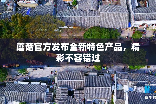 蘑菇官方发布全新特色产品，精彩不容错过