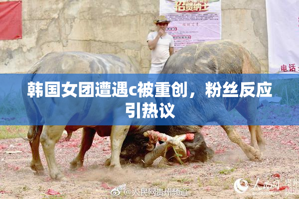 韩国女团遭遇c被重创，粉丝反应引热议