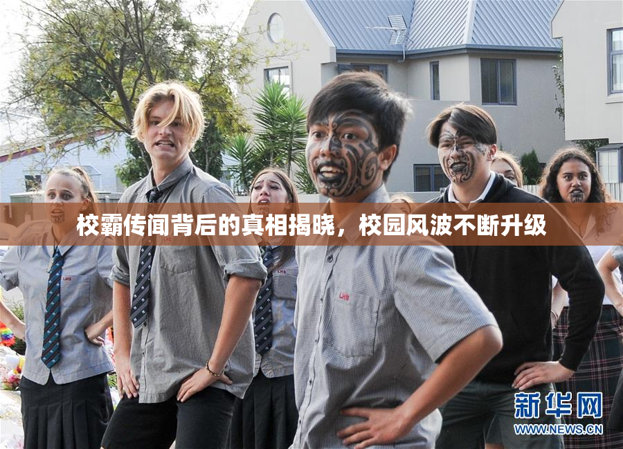 校霸传闻背后的真相揭晓，校园风波不断升级