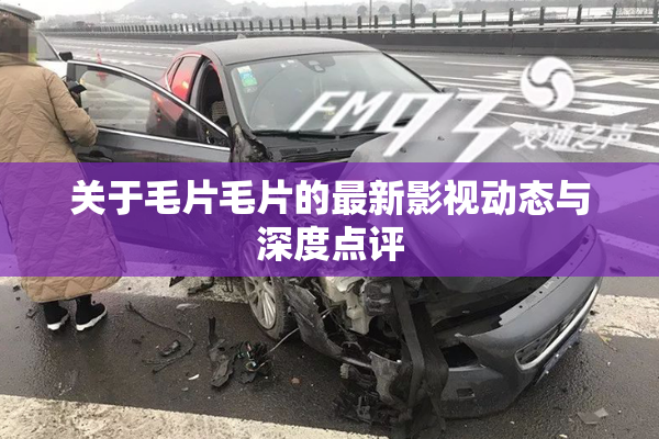 关于毛片毛片的最新影视动态与深度点评