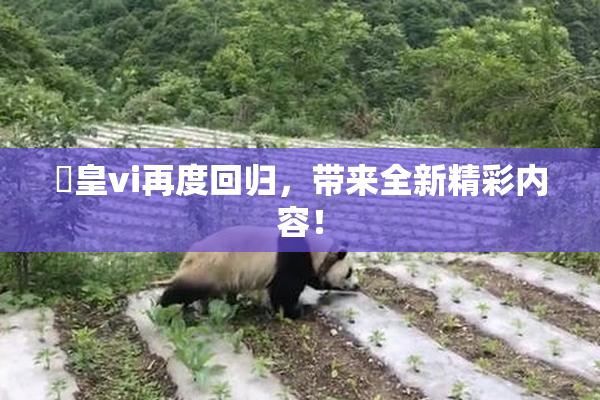 嘼皇vi再度回归，带来全新精彩内容！