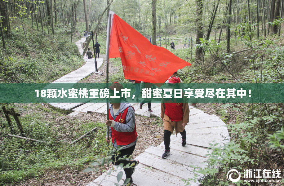 18颗水蜜桃重磅上市，甜蜜夏日享受尽在其中！