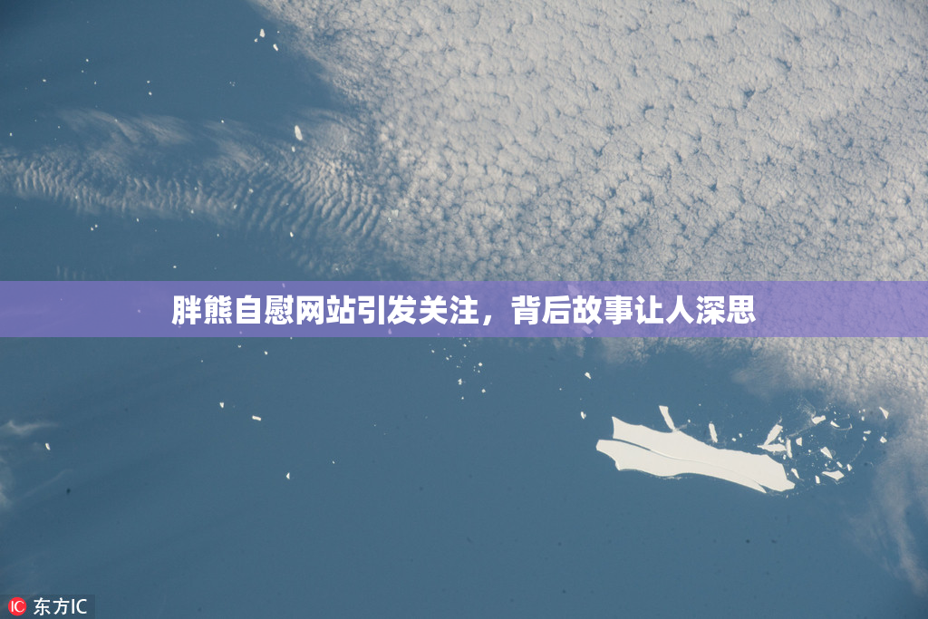 胖熊自慰网站引发关注，背后故事让人深思