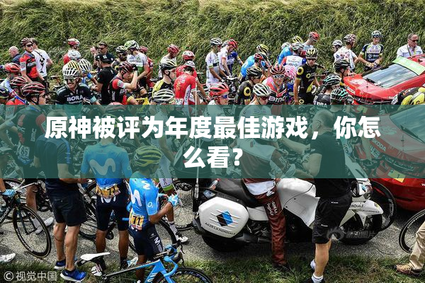 原神被评为年度最佳游戏，你怎么看？