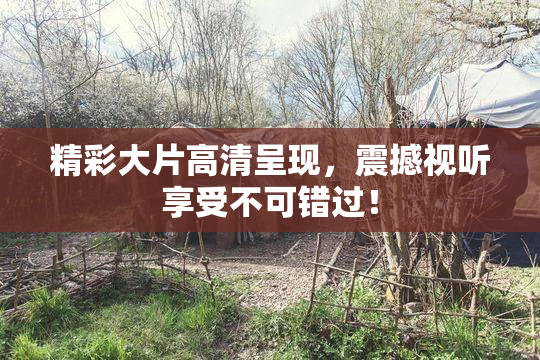 精彩大片高清呈现，震撼视听享受不可错过！