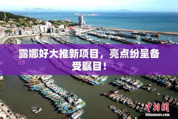 露娜好大推新项目，亮点纷呈备受瞩目！