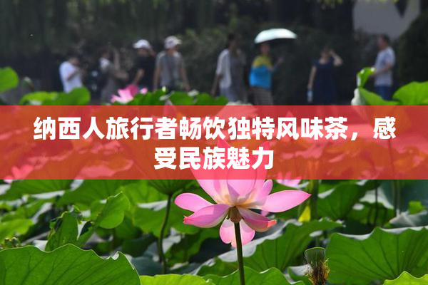 纳西人旅行者畅饮独特风味茶，感受民族魅力