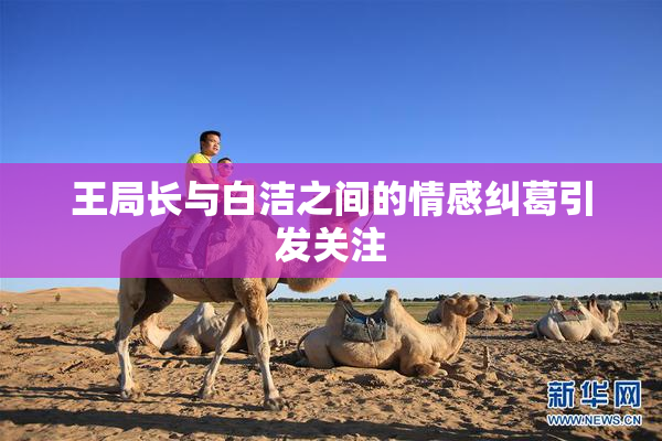 王局长与白洁之间的情感纠葛引发关注