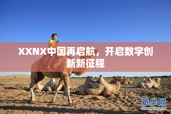 XXNX中国再启航，开启数字创新新征程