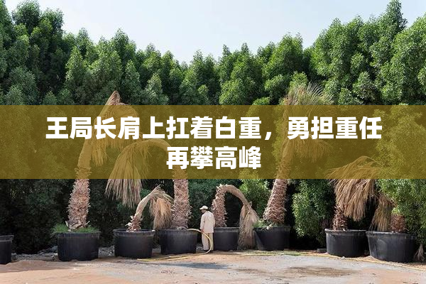王局长肩上扛着白重，勇担重任再攀高峰