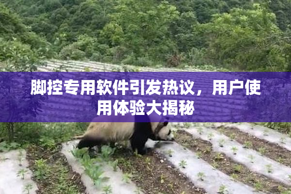 脚控专用软件引发热议，用户使用体验大揭秘