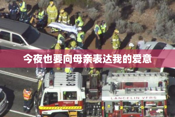 今夜也要向母亲表达我的爱意