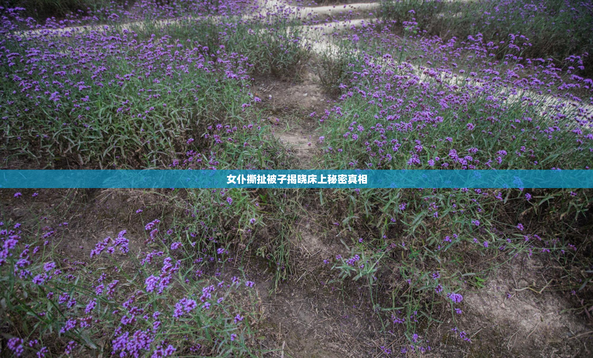 女仆撕扯被子揭晓床上秘密真相