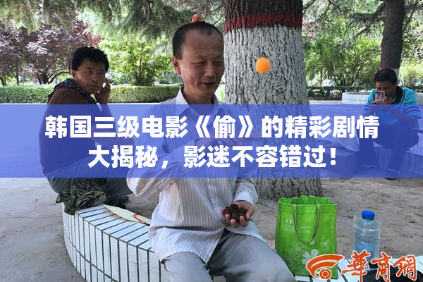 韩国三级电影《偷》的精彩剧情大揭秘，影迷不容错过！