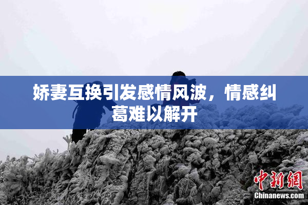 娇妻互换引发感情风波，情感纠葛难以解开