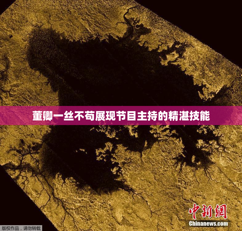 董卿一丝不苟展现节目主持的精湛技能