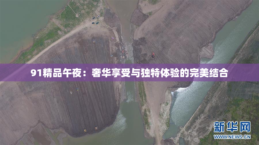 91精品午夜：奢华享受与独特体验的完美结合