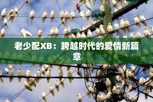 老少配XB：跨越时代的爱情新篇章