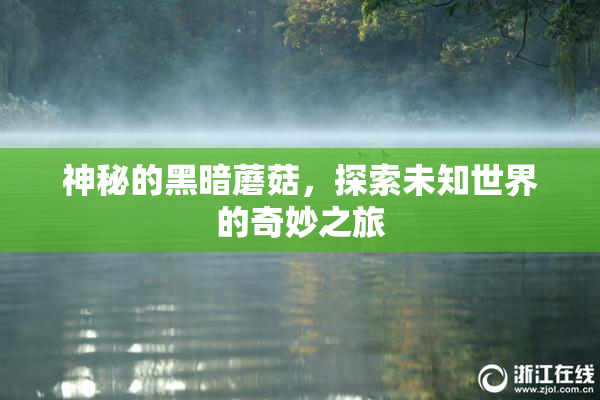 神秘的黑暗蘑菇，探索未知世界的奇妙之旅