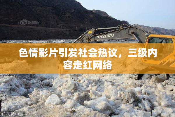 色情影片引发社会热议，三级内容走红网络