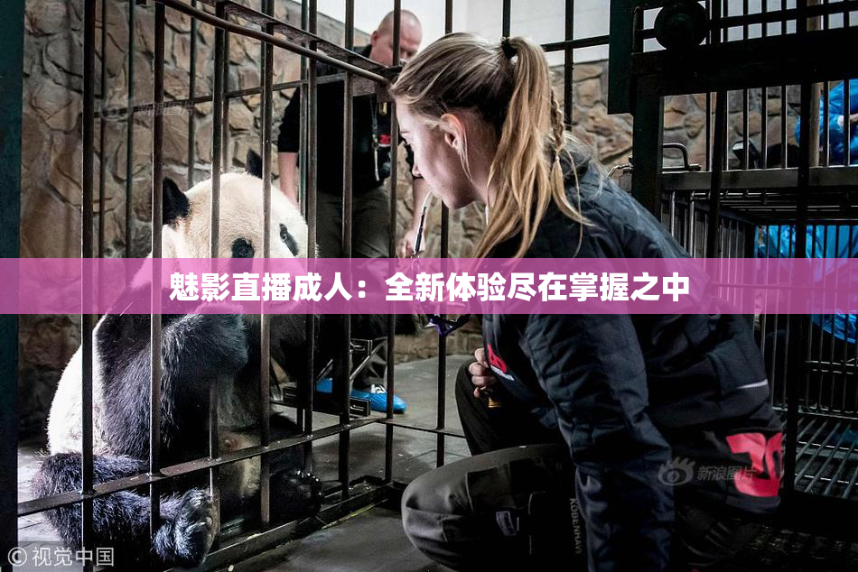 魅影直播成人：全新体验尽在掌握之中