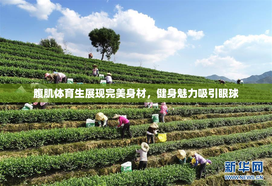 腹肌体育生展现完美身材，健身魅力吸引眼球