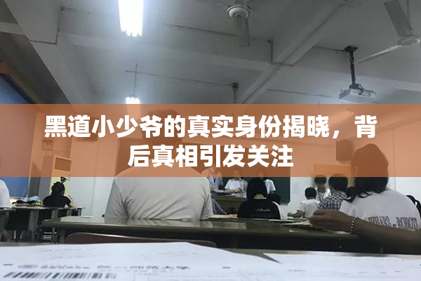 黑道小少爷的真实身份揭晓，背后真相引发关注